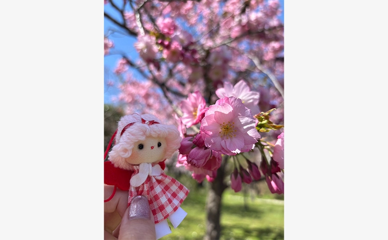 趣味などの写真05