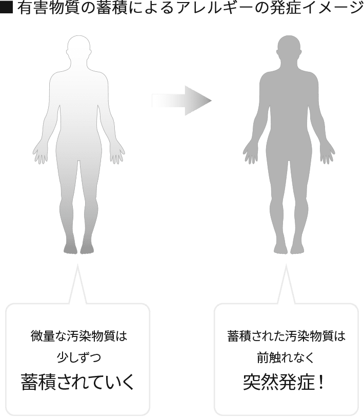 有害物質の蓄積によるアレルギーの発症イメージ