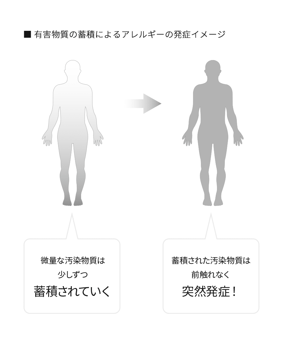 有害物質の蓄積によるアレルギーの発症イメージ