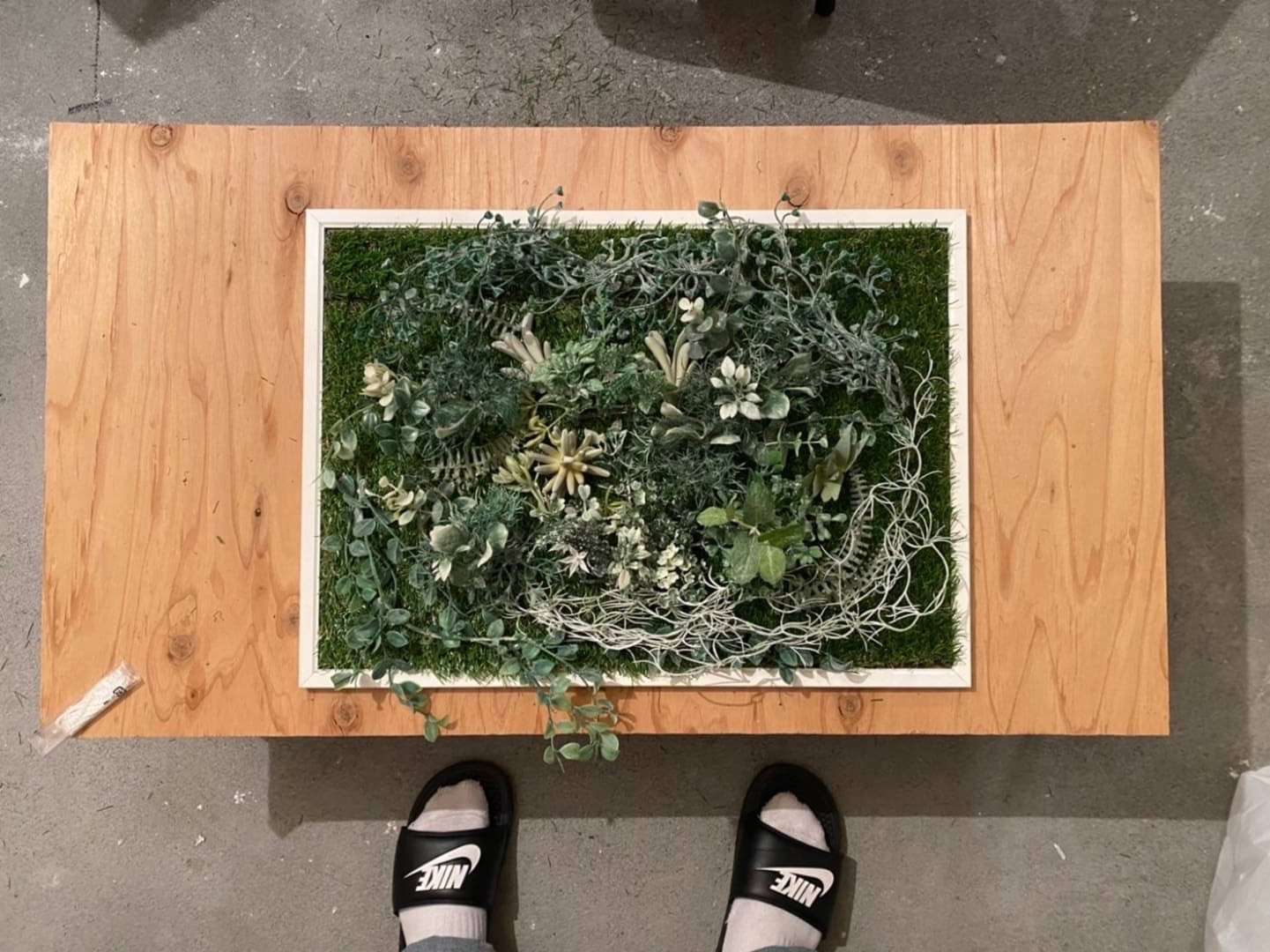 Diy フェイクグリーンアートの作り方をリスタートレポート Restart Report ホーム企画センターのリフォームスタッフブログ Claps 札幌でリフォームするならホーム企画センターへ 暮らしにリフォームをプラス Claps