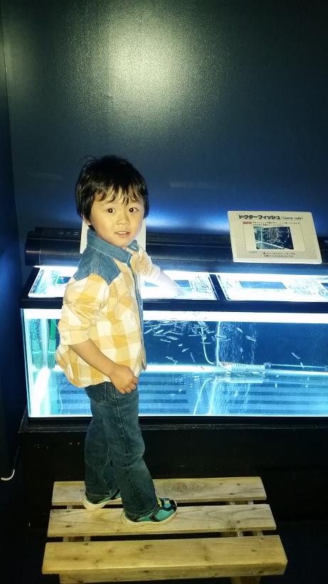 また水族館 (^_^;)