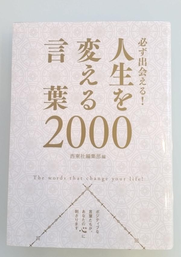 白石区 注文住宅用地