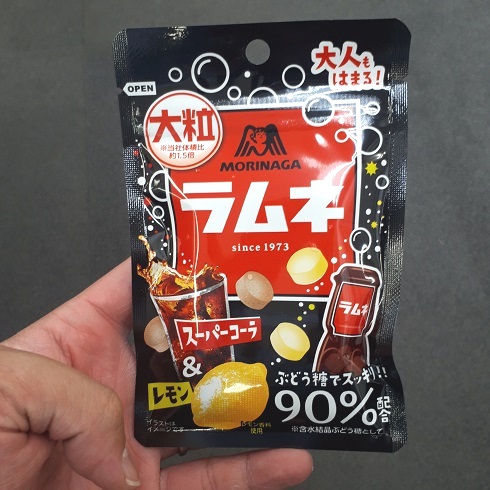小樽 完成現場見学会