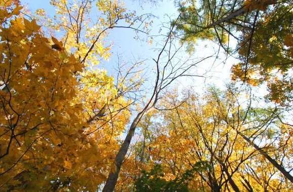 今年の登山とプチハロウィン♪