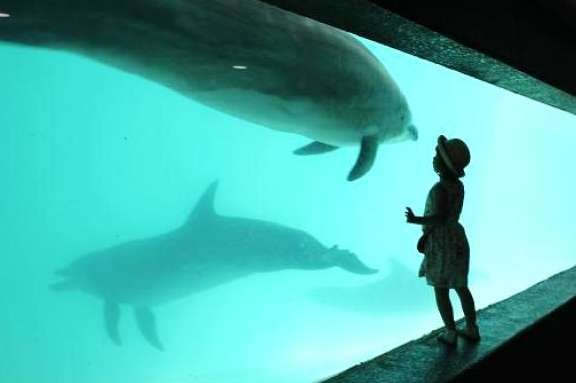 休日の小樽水族館☆