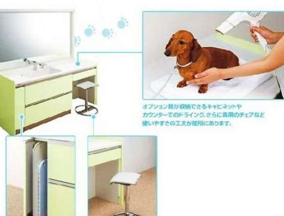大事な家族、ペットと暮らす家づくり♪～後篇