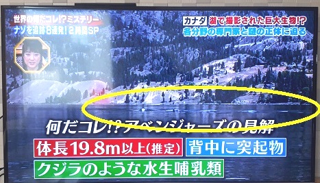 当社、注文住宅用地のメリット(^O^) ④