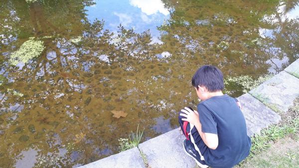 川の近くの土地 ハザードマップ②