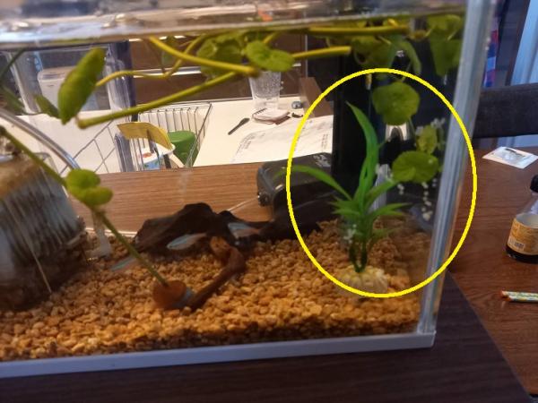 年末のご挨拶(^^)/