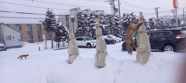 住宅ローンの金利 上昇傾向です(T_T)②