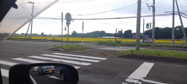 新しい注文住宅用地 グリーンタウン当別幸町