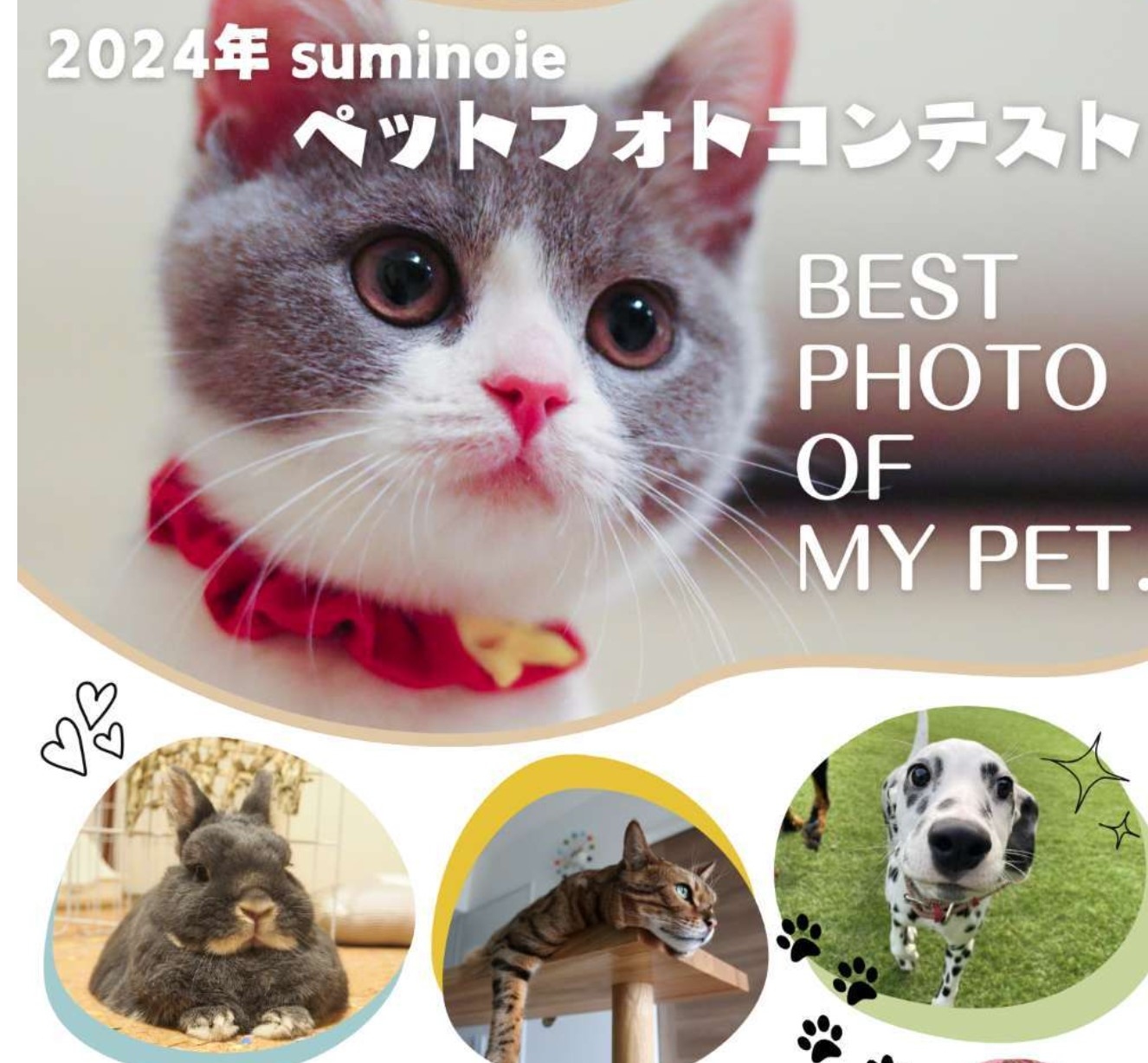 今年もペットフォトコンテスト2024年募集スタート♪
