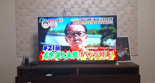 アオダモの木選び（造園屋さん見学）