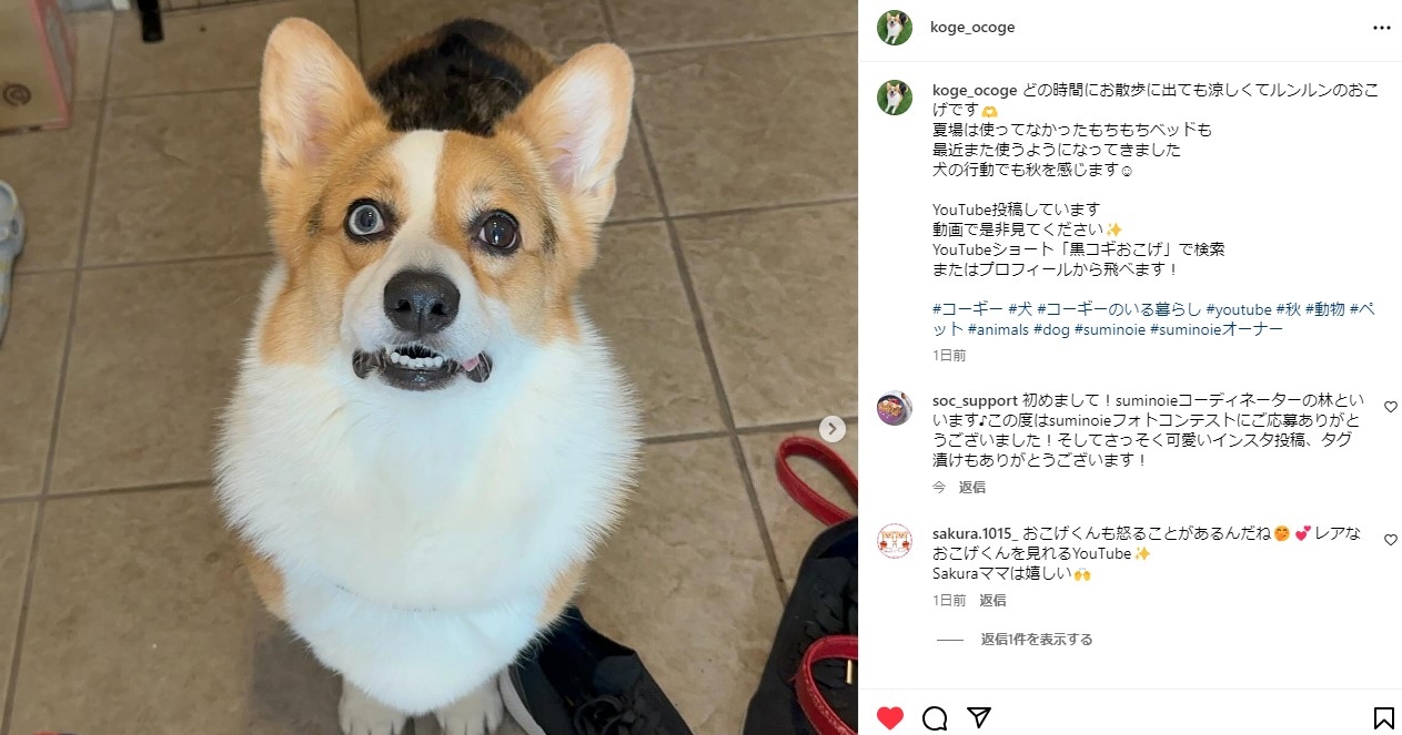 オーナーズクラブ新規SNSユーザーさんご紹介④