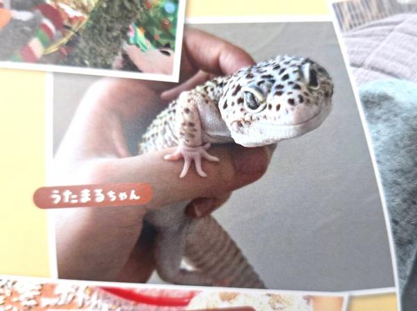 恒例の挨拶まわり 順調です(‘ω’)