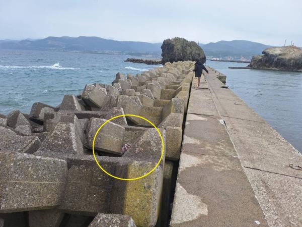 久しぶりの釣りと長男の20歳の誕生日